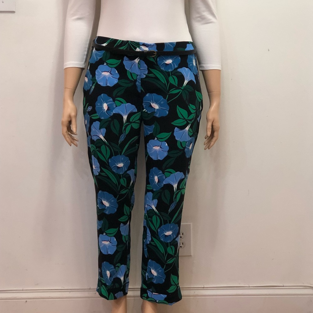Ann Taylor Pant